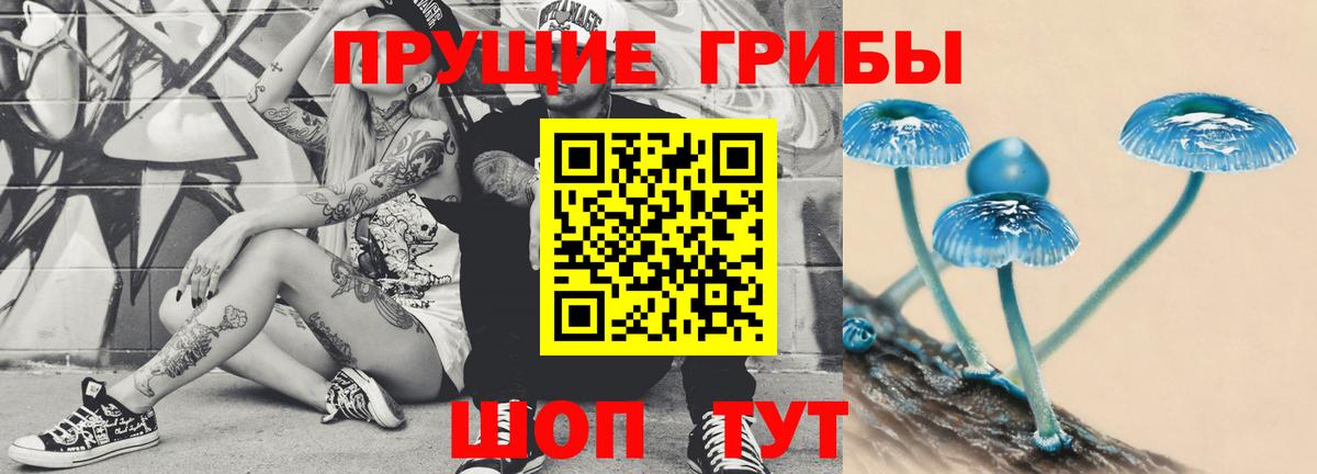 Шали  Псилоцибиновые грибы Cubensis  Вход с VPN  Галлюциногенные грибы Psilocybe 